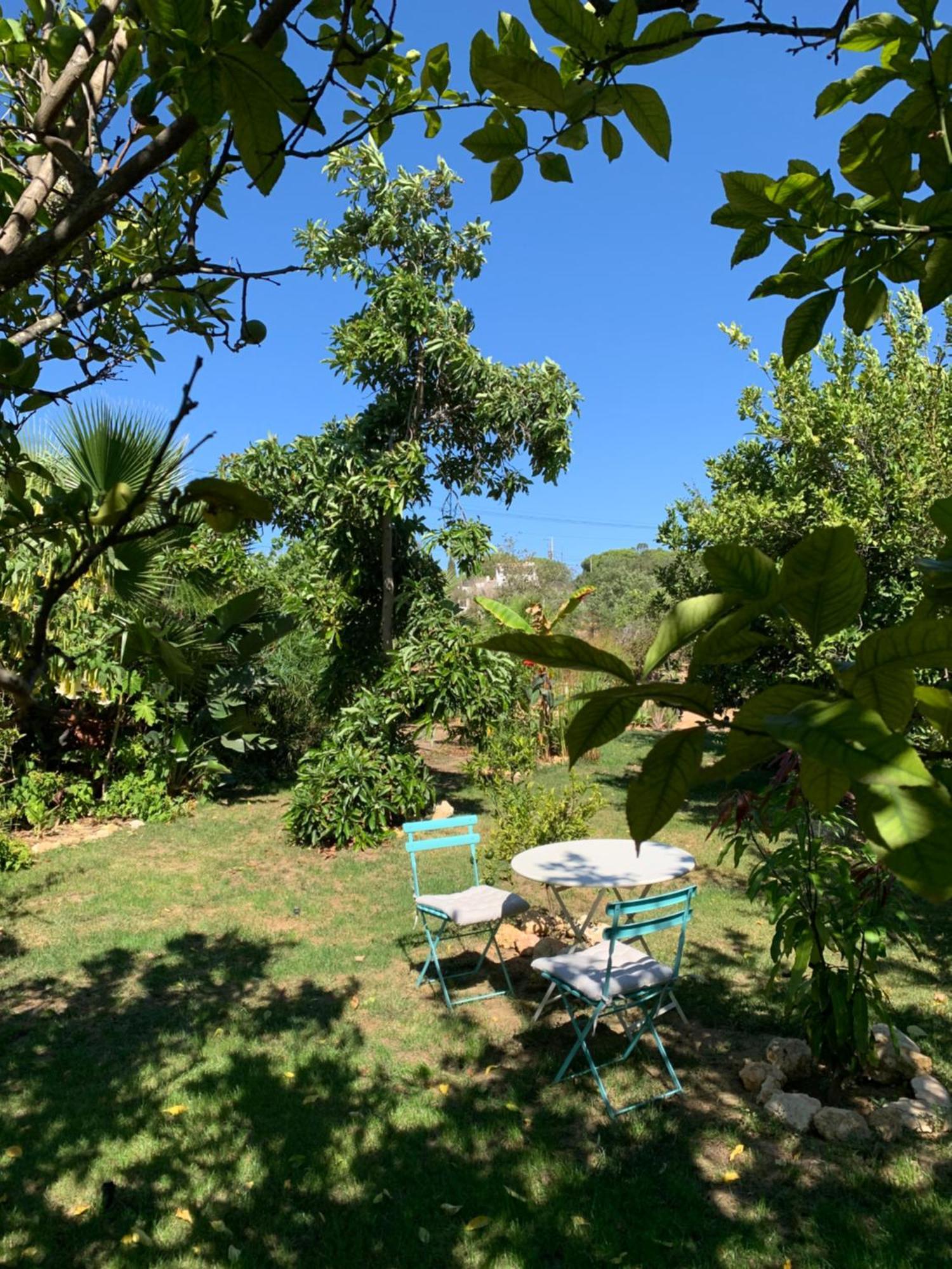 A Tranquil Garden Apartment, Carvoeiro - Benagil Bagian luar foto